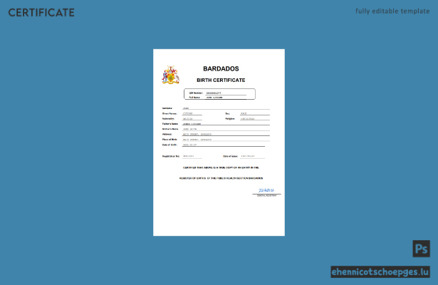 Beispiel einer Geburtsurkunde aus Barbados in Word und PDF (Vorschau)